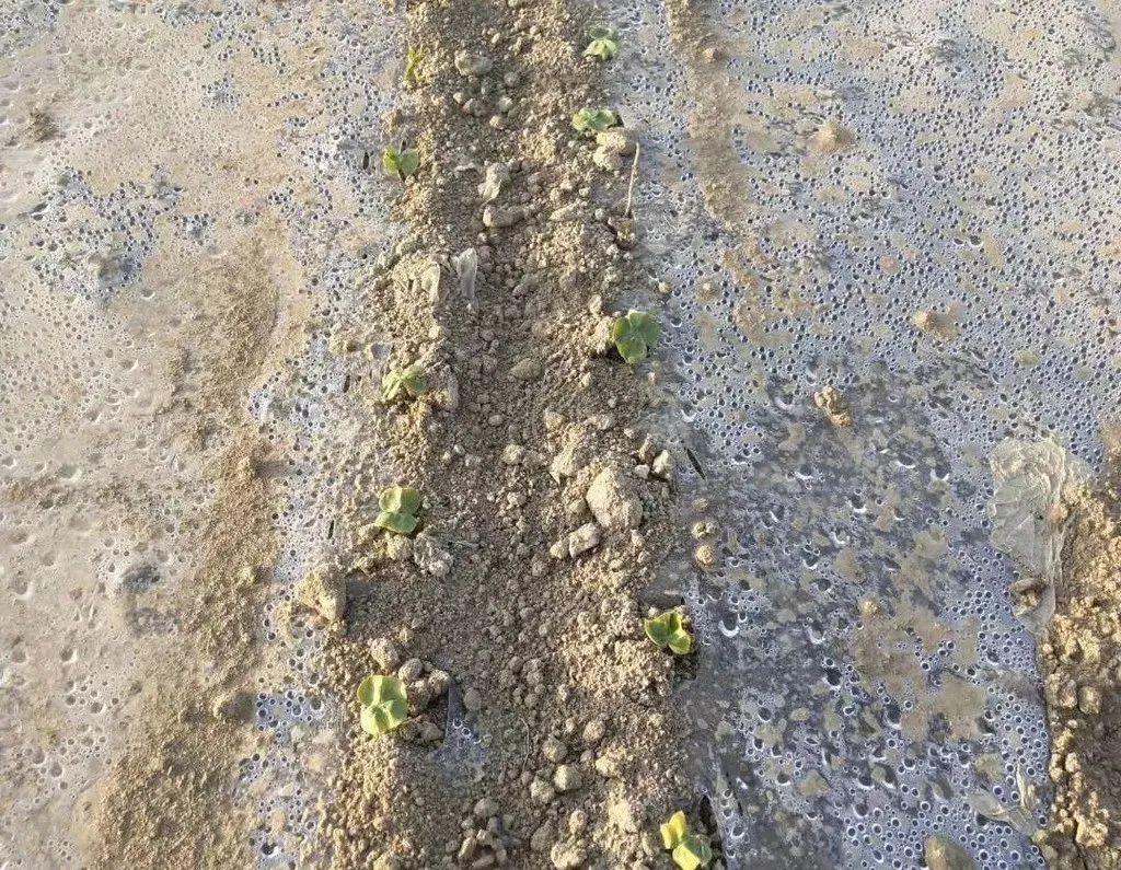 微信圖片_20220309215832.jpg 微信圖片_20220309215832.jpg