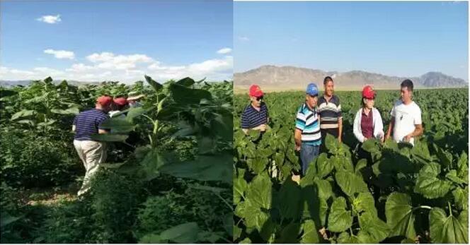 微信圖片_20221107215922.jpg 微信圖片_20221107215922.jpg