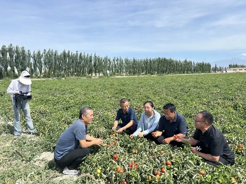 9c7118493ef4402891d06b2c7ae85300.jpg 9c7118493ef4402891d06b2c7ae85300.jpg