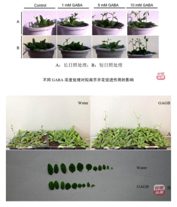 微信圖片_20250510203623.png 微信圖片_20250510203623.png