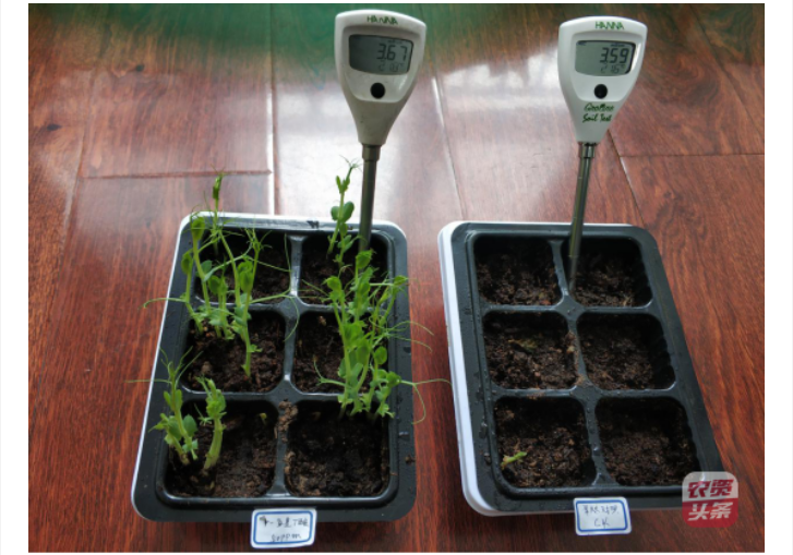 微信圖片_20250510203623.png 微信圖片_20250510203623.png