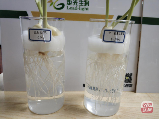 media_1578474542127.png media_1578474542127.png