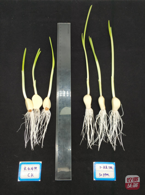 media_1578474542127.png media_1578474542127.png